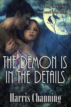 Cover The Demon is In the Details (eBook, ePUB)