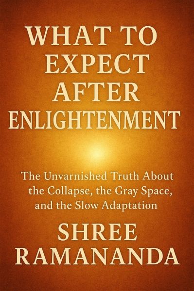 What to Expect After Enlightenment: The Unvarnished Truth About the Collapse, the Gray Space, and the Slow Adaptation (eBook, ePUB)