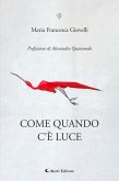 Come quando c'è luce (eBook, ePUB)