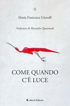 Cover Come quando c'è luce (eBook, ePUB)