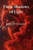From Shadows to Light (eBook, ePUB)