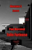 Folie furieuse