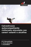 Calcestruzzo autocompattante rinforzato miscelato con ceneri volanti e alcofine