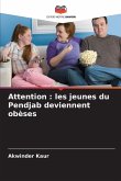 Attention : les jeunes du Pendjab deviennent obèses Attention : les jeunes du Pendjab deviennent obèses
