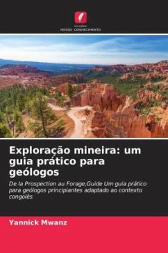 Cover Exploração mineira: um guia prático para geólogos