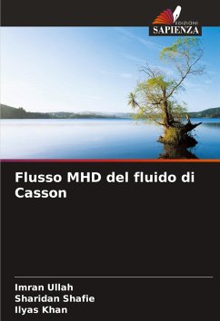 Cover Flusso MHD del fluido di Casson