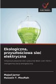 Ekologiczna, przysz¿o¿ciowa sie¿ elektryczna