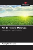 Ain El Hûts El Mahrûça Ain El Hûts El Mahrûça