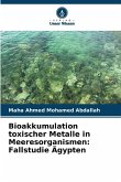 Bioakkumulation toxischer Metalle in Meeresorganismen: Fallstudie Ägypten Bioakkumulation toxischer Metalle in Meeresorganismen: Fallstudie Ägypten