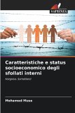 Caratteristiche e status socioeconomico degli sfollati interni Caratteristiche e status socioeconomico degli sfollati interni
