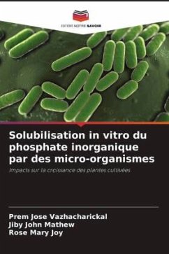 Cover Solubilisation in vitro du phosphate inorganique par des micro-organismes