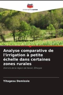 Analyse comparative de l'irrigation à petite échelle dans certaines zones rurales - Demissie, Yitagesu
