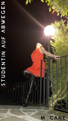 Cover Studentin auf Abwegen (eBook, ePUB)