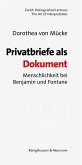 Privatbriefe als Dokument (eBook, PDF)