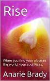 Rise (eBook, ePUB)