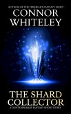 The Shard Collector: A Contemporary Fantasy Short Story (eBook, ePUB)