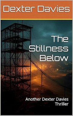 Cover The Stillness Below (eBook, ePUB)
