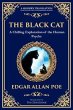 The Black Cat (eBook, ePUB) - Bild 1