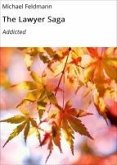 The Lawyer Saga (eBook, ePUB)