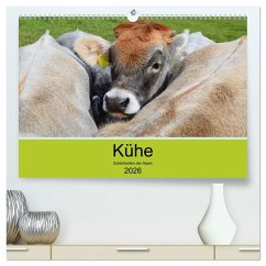 Kühe - Schönheiten der Alpen (hochwertiger Premium Wandkalender 2026 DIN A2 quer), Kunstdruck in Hochglanz Kühe - Schönheiten der Alpen (hochwertiger Premium Wandkalender 2026 DIN A2 quer), Kunstdruck in Hochglanz