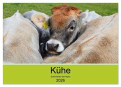 Cover Kühe - Schönheiten der Alpen (Wandkalender 2026 DIN A2 quer), CALVENDO Monatskalender