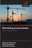 Marketing przemys¿owy Marketing przemys¿owy
