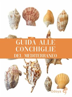 Cover Guida alle conchiglie del Mediterraneo