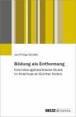 Bildung als Entformung (eBook, ePUB)