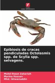 Epibiosis de cracas pendiculadas Octolasmis spp. de Scylla spp. selvagens.