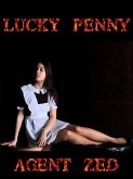 Lucky Penny (eBook, ePUB)