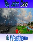The Weathermen (eBook, ePUB)