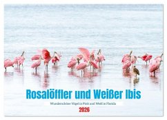 Rosalöffler und weißer Ibis (Tischkalender 2026 DIN A5 quer), CALVENDO Monatskalender