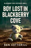 Boy Lost in Blackberry Cove (eBook, ePUB)