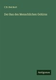 Der Bau des Menschlichen Gehirns