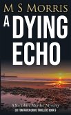A Dying Echo A Dying Echo