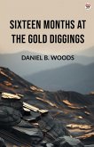 Sixteen Months At The Gold Diggings