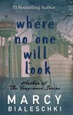 Where No One Will Look Where No One Will Look