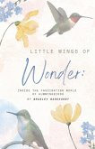Little Wings of Wonder Little Wings of Wonder