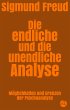 Die endliche und die unendliche Analyse... - Bild 1