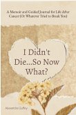 I Didn't Die...So Now What? I Didn't Die...So Now What?