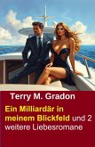 Ein Milliardär in meinem Blickfeld und 2 weitere Liebesromane (eBook, ePUB)
