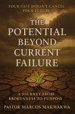 The Potential Beyond Current Failure (eBook, ePUB) The Potential Beyond Current Failure (eBook, ePUB)