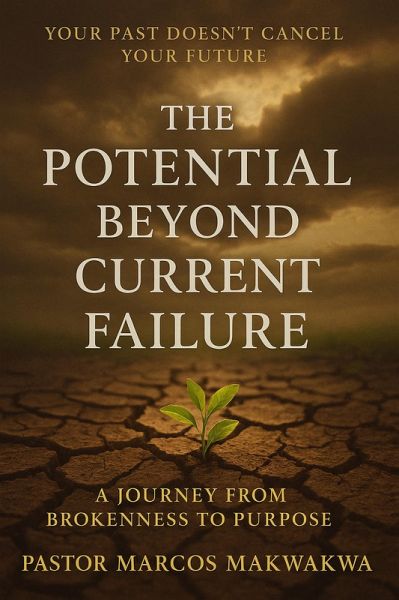 The Potential Beyond Current Failure (eBook, ePUB) The Potential Beyond Current Failure (eBook, ePUB)