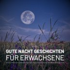 Traumhafte Gute Nacht Geschichten für Erwachsene (MP3-Download)