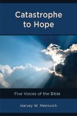 Catastrophe to Hope (eBook, PDF)