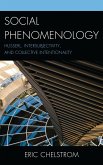Social Phenomenology (eBook, PDF)