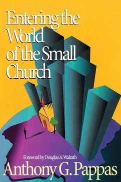 Cover Entering the World of the Small Church (eBook, PDF)