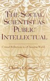 The Social Scientist as Public Intellectual (eBook, PDF)