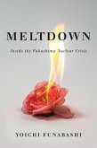 Meltdown (eBook, PDF)