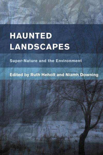 Haunted Landscapes (eBook, PDF)